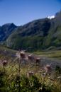 nature alpine 028 * 2912 x 4368 * (6.37MB)